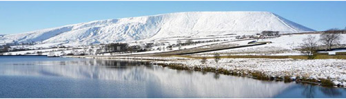 Pendle Cold Store: Services